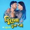 About Dilwa Raja Ji Song